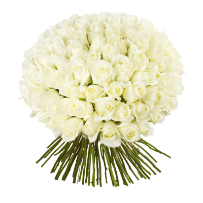 Роскошный букет из 101 белой розы – воплощение бесконечной любви Абаза Республика Хакасия