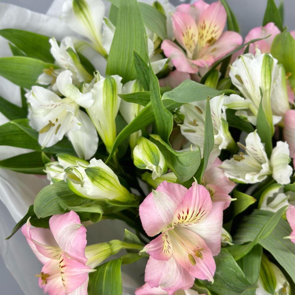 Букет «Нежность» – трогательное сочетание белых и розовых альстромерий Абаза Республика Хакасия