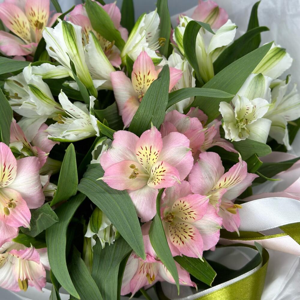Букет «Нежность» – трогательное сочетание белых и розовых альстромерий Абаза Республика Хакасия