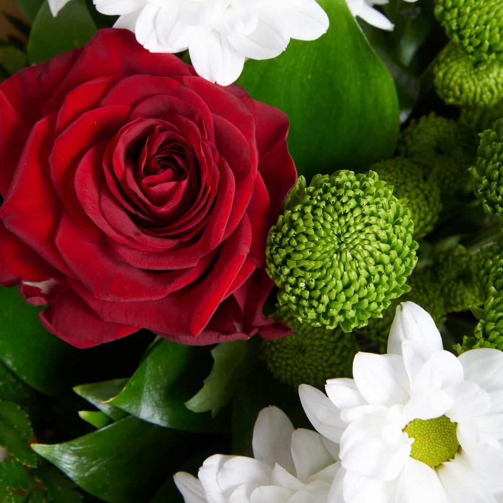 Букет «Настроение» – гармония красных эквадорских роз и нежных хризантем Абаза Республика Хакасия