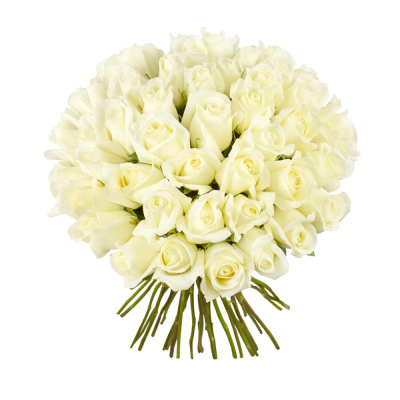 Роскошный букет из 51 белой розы – символ безграничной преданности Абаза Республика Хакасия