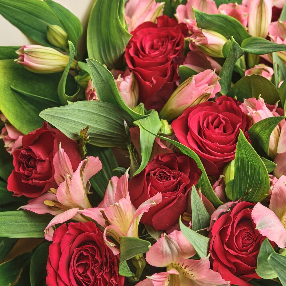 Букет «Нежность слов» — гармония красных роз и нежных альстромерий Абаза Республика Хакасия