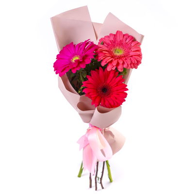 Яркий букет из 3 разноцветных гербер – маленькое чудо в ваших руках Абаза Республика Хакасия