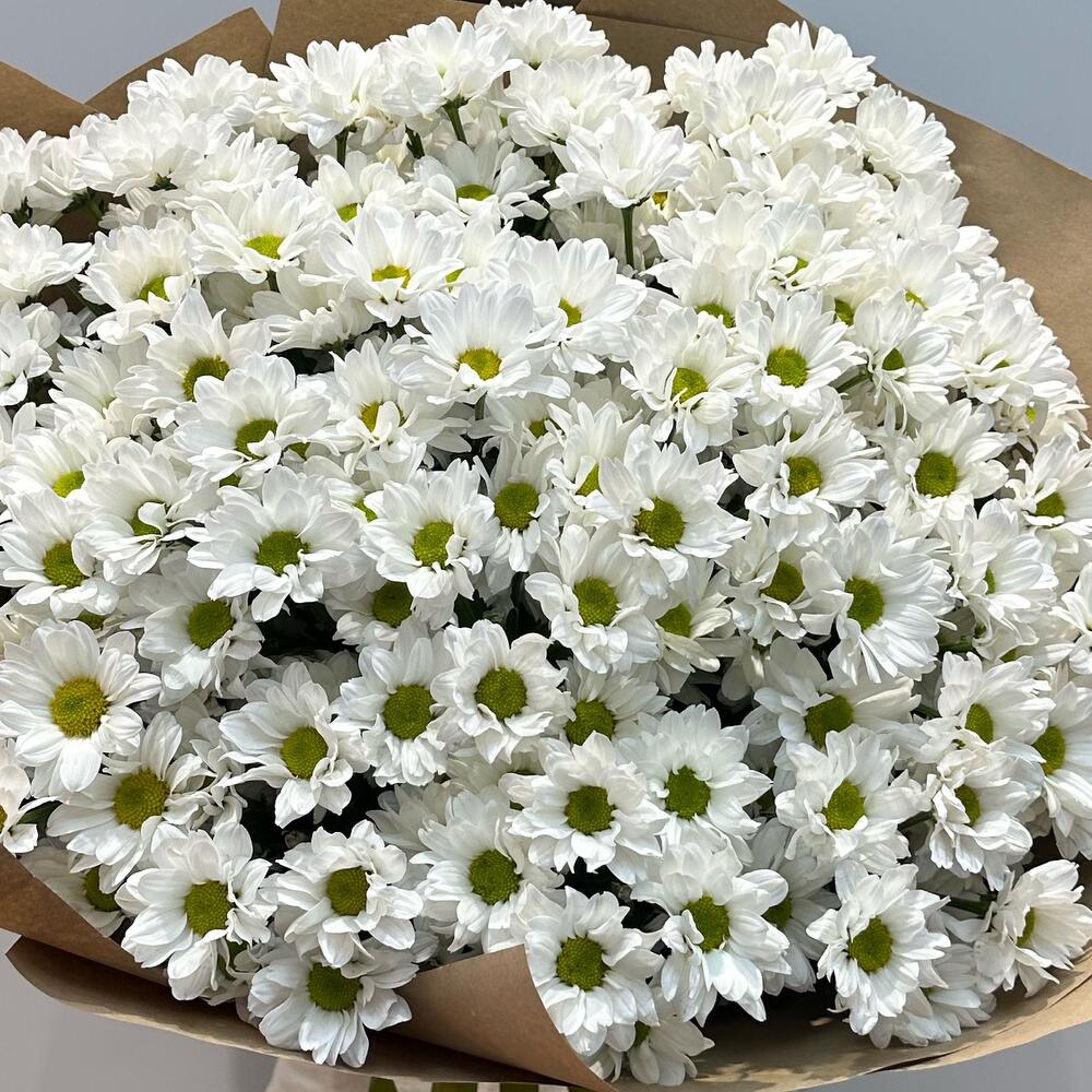 Букет «21 ромашка» – нежные белые кустовые хризантемы в натуральном стиле Абаза Республика Хакасия