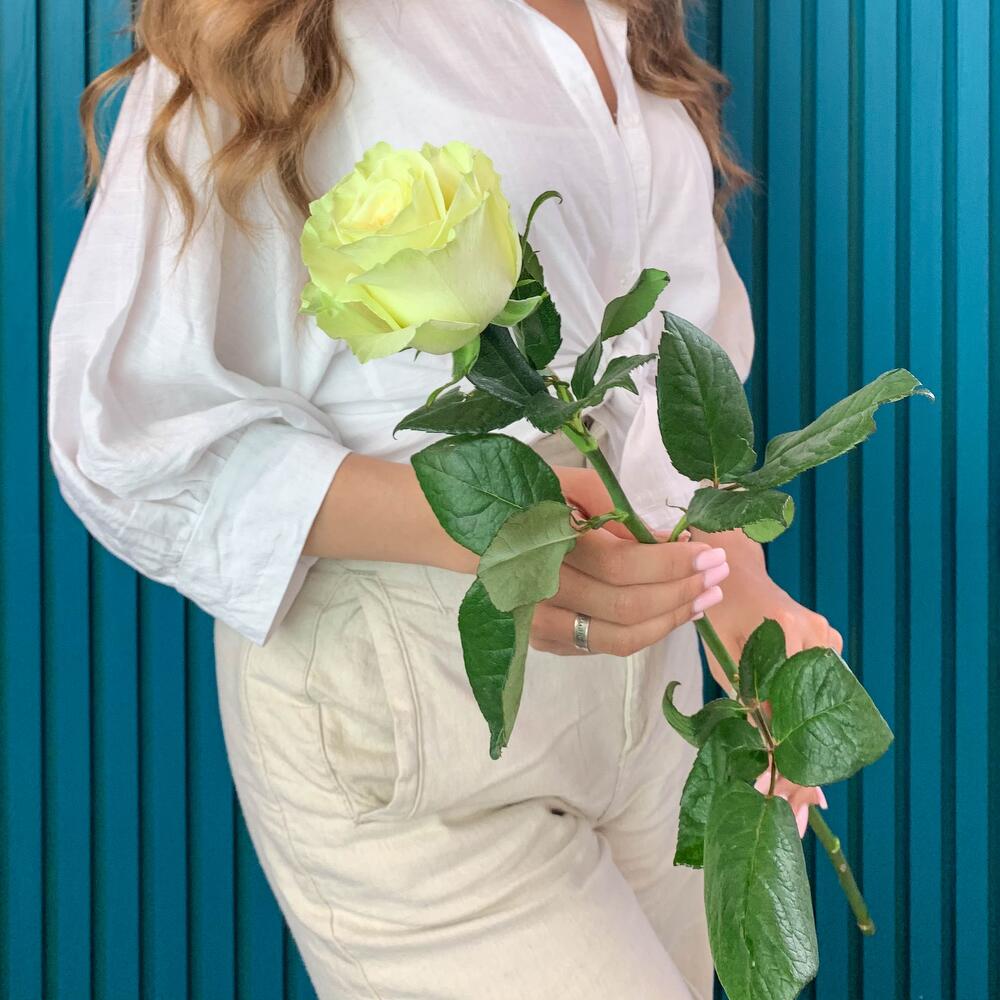 Комплимент из белой эквадорской розы – элегантность в каждом лепестке Абаза Республика Хакасия