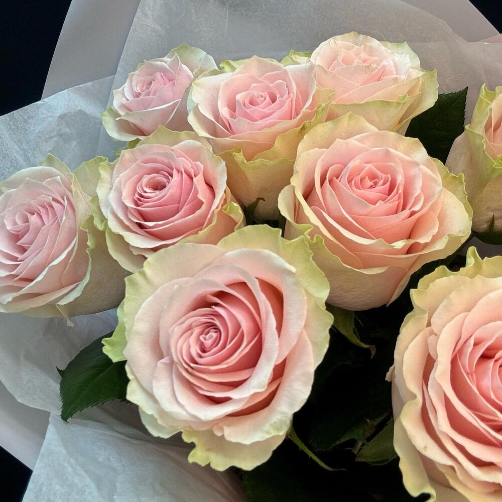 Букет из 9 розовых роз – нежность в каждом лепестке Абаза Республика Хакасия