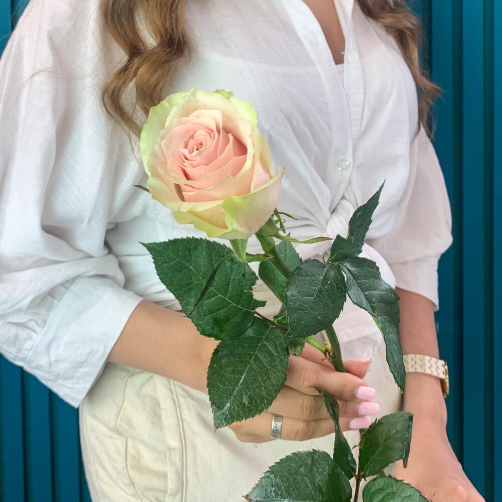 Комплимент из розовой эквадорской розы – минимализм роскоши Абаза Республика Хакасия