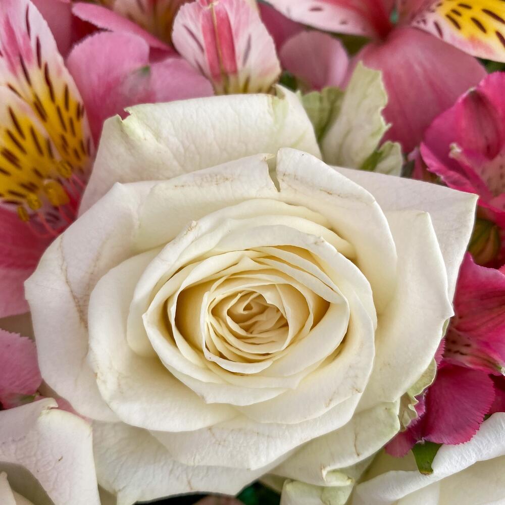 Букет «Николь» – изысканное сочетание роз, кустовых роз и альстромерий Абаза Республика Хакасия