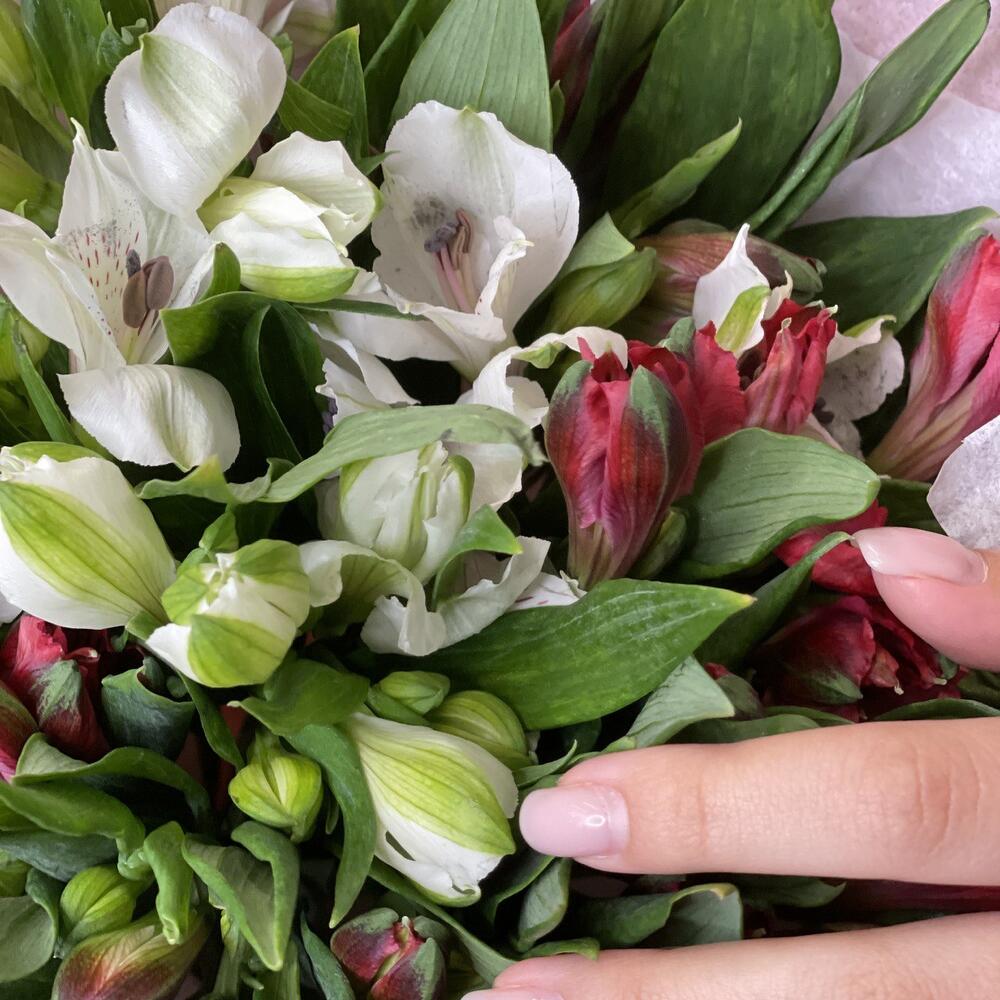 Букет «Люблю»– страсть и чистота в красно-белых альстромериях Абаза Республика Хакасия