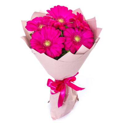 Букет из 5 малиновых гербер – сочный акцент вашего подарка Абаза Республика Хакасия