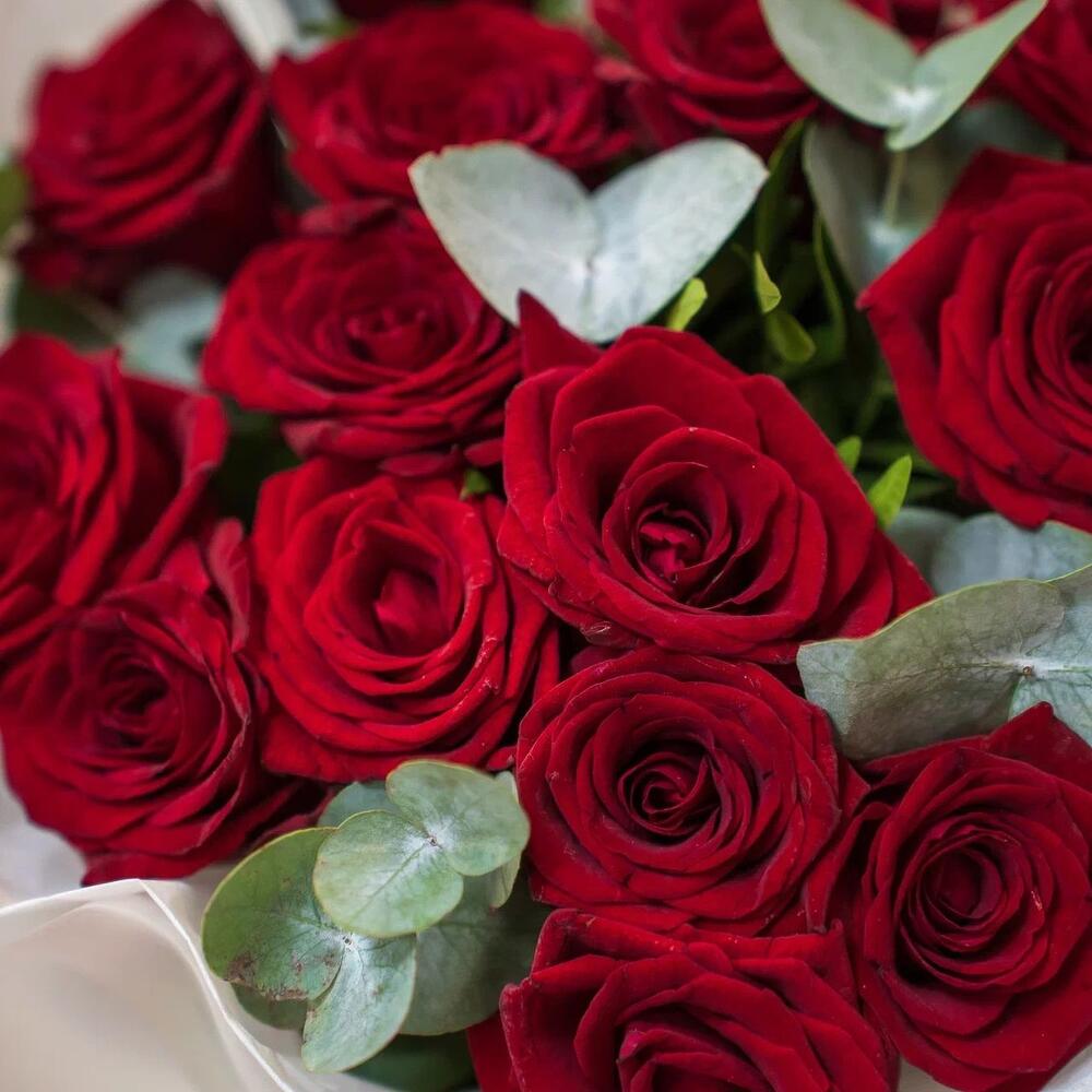 Элегантный букет из 15 красных роз с эвкалиптом – символ страсти и нежности Абаза Республика Хакасия