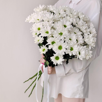Букет «Ромашка» – 9 белоснежных хризантем в деревенском стиле Абаза Республика Хакасия